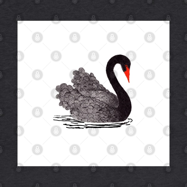 Black Swan by Art is Sandy